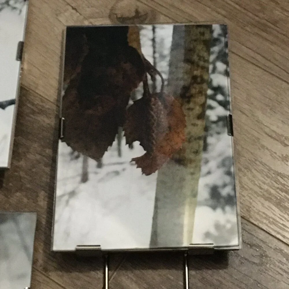 Lot of 3 Simple Glass & Metal Photo Frames Canadian Winter Nature Photography - Picture 8 of 9